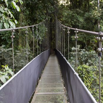 Quels circuits touristiques choisir lors d'un voyage au Costa Rica ?