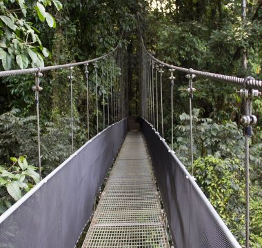 Quels circuits touristiques choisir lors d'un voyage au Costa Rica ?